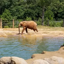 Caldwell Zoo - Conroe