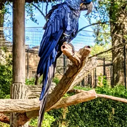 Caldwell Zoo - Conroe