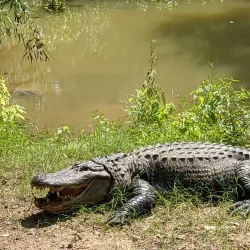 Caldwell Zoo - Conroe