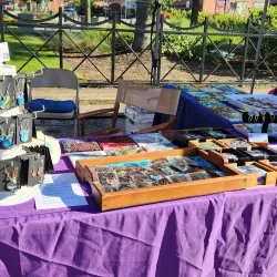 Conroe Farmers Market - Conroe