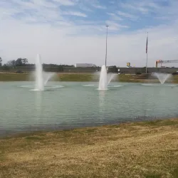 The Lone Star Monument and Historical Flag Park - Conroe