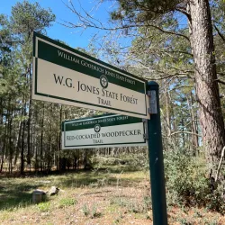 W.G. Jones State Forest - Conroe
