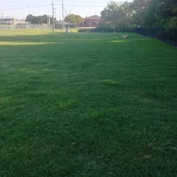 Coppell Dog Park - Coppell
