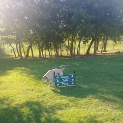 Coppell Dog Park - Coppell