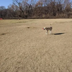 Coppell Dog Park - Coppell