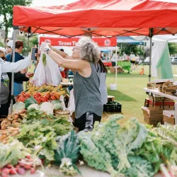 Coppell Farmers Market - Coppell