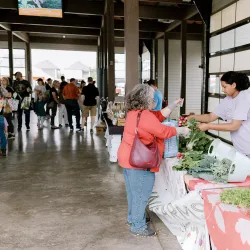 Coppell Farmers Market - Coppell