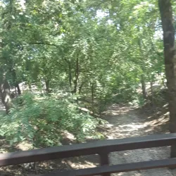 Coppell Recreation Center - Coppell