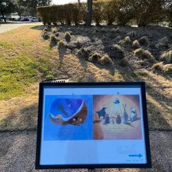 Town Center Park - Coppell