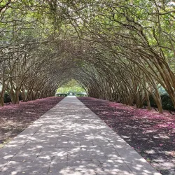 Dallas Arboretum and Botanical Garden - Dallas