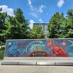 Dallas Museum of Art - Dallas