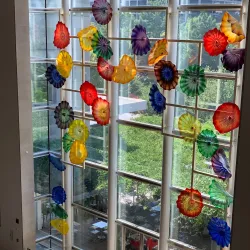 Dallas Museum of Art - Dallas