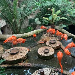 Dallas World Aquarium - Dallas