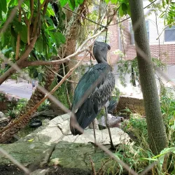 Dallas World Aquarium - Dallas