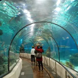 Dallas World Aquarium - Dallas