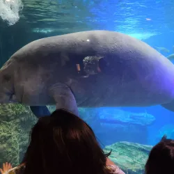 Dallas World Aquarium - Dallas