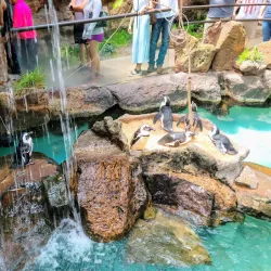 Dallas World Aquarium - Dallas