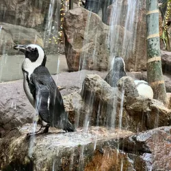 Dallas World Aquarium - Dallas