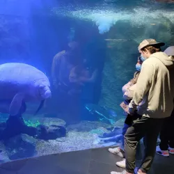 Dallas World Aquarium - Dallas