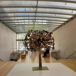 Nasher Sculpture Center - Dallas