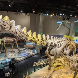 Perot Museum of Nature and Science - Dallas
