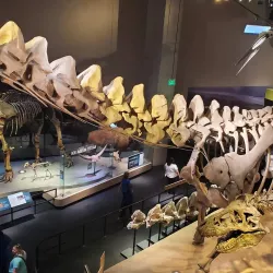 Perot Museum of Nature and Science - Dallas