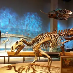 Perot Museum of Nature and Science - Dallas