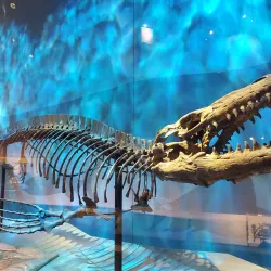 Perot Museum of Nature and Science - Dallas