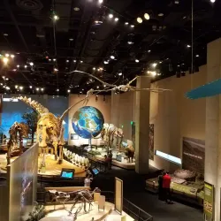 Perot Museum of Nature and Science - Dallas