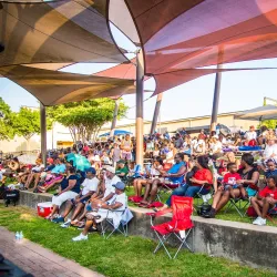 DeSoto Arts Festival - De Soto