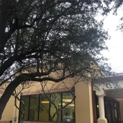 DeSoto Public Library - De Soto