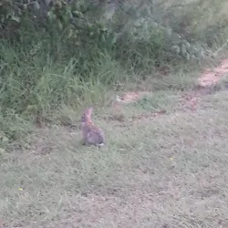 Lonesome Dove Park - De Soto