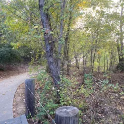 Lonesome Dove Park - De Soto