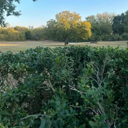 Lonesome Dove Park - De Soto