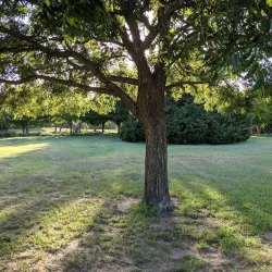 Lonesome Dove Park - De Soto