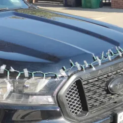 Campus Theatre - Denton