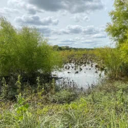 Clear Creek Natural Heritage Center - Denton