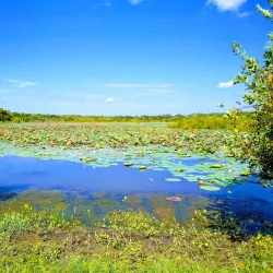 Clear Creek Natural Heritage Center - Denton