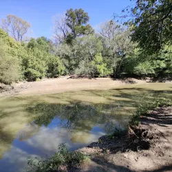 Clear Creek Natural Heritage Center - Denton