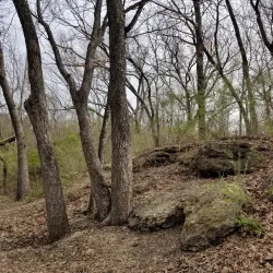 Clear Creek Natural Heritage Center - Denton