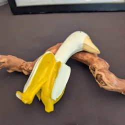 Denton Community Market - Denton