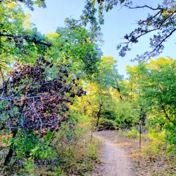 South Lakes Park - Denton
