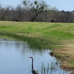 South Lakes Park - Denton