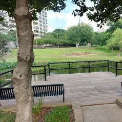 Turtle Creek Park - Denton