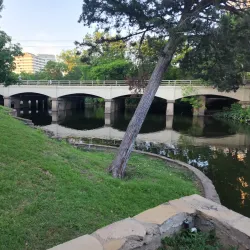 Turtle Creek Park - Denton