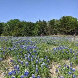 Veterans Memorial Park - Dublin