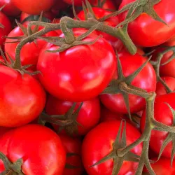 Eagle Pass Farmers Market - Eagle Pass