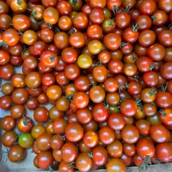 Eagle Pass Farmers Market - Eagle Pass