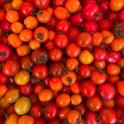 Eagle Pass Farmers Market - Eagle Pass