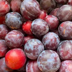 Eagle Pass Farmers Market - Eagle Pass